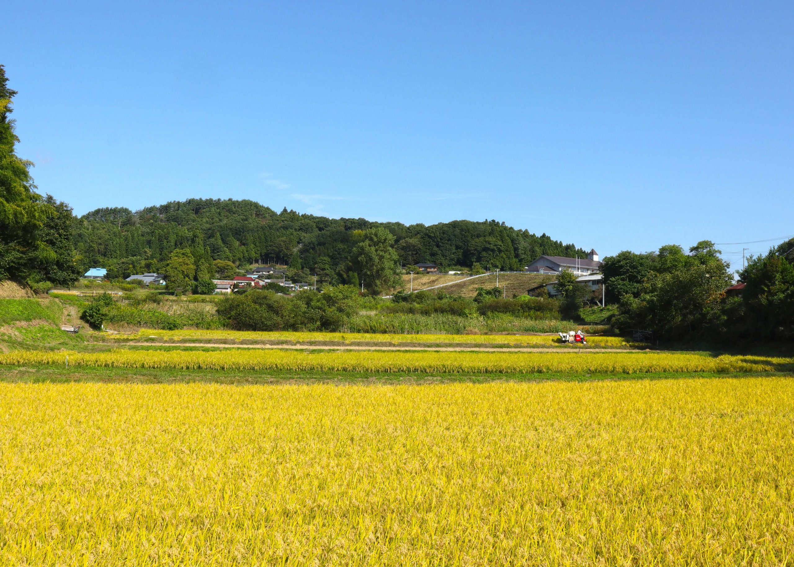 「やりたい」が実現でき、持続・自走する地域「田村」を実現する。